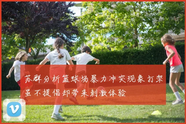 苏群分析篮球场暴力冲突现象打架虽不提倡却带来刺激体验