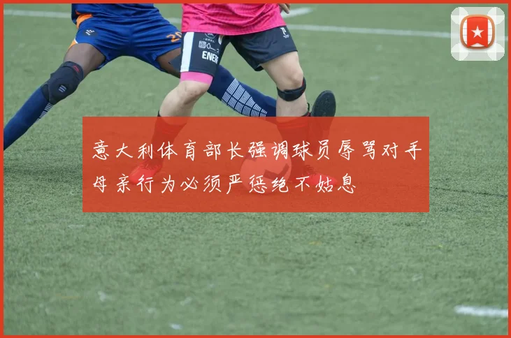 意大利体育部长强调球员辱骂对手母亲行为必须严惩绝不姑息